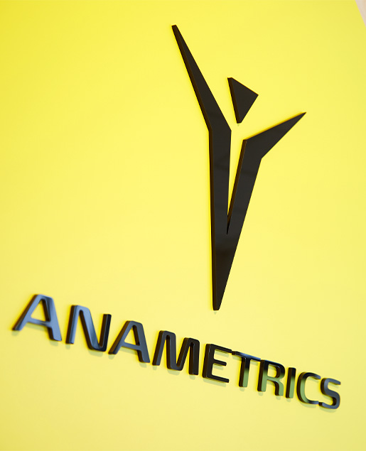 ANAMETRICS Schriftzug